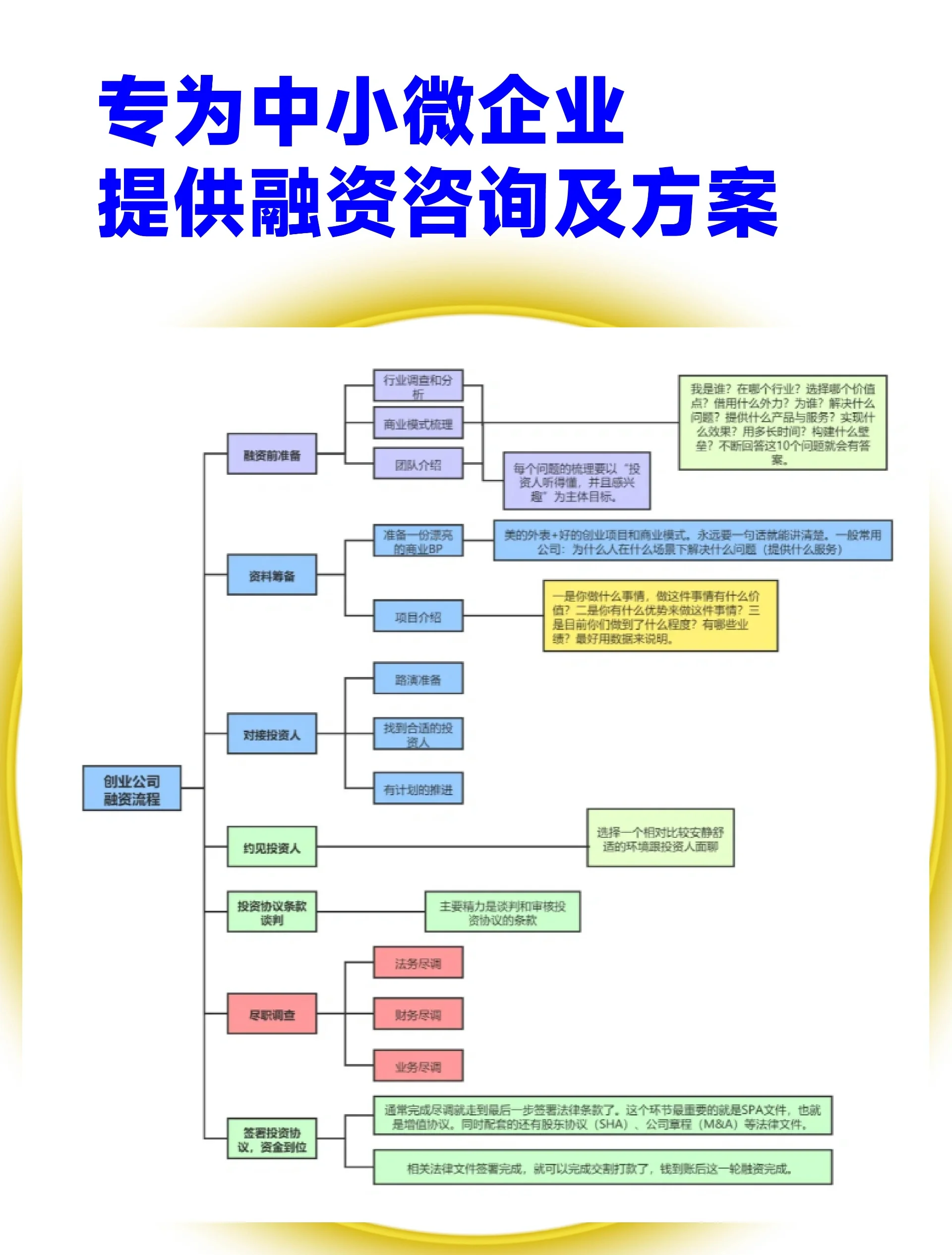 漯河市宠物企业资金管理(宠物管理机构叫什么)