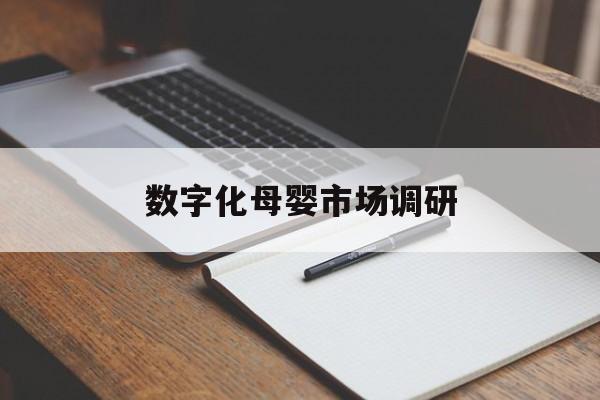 漯河市数字化母婴市场调研(数字化母婴市场调研报告)